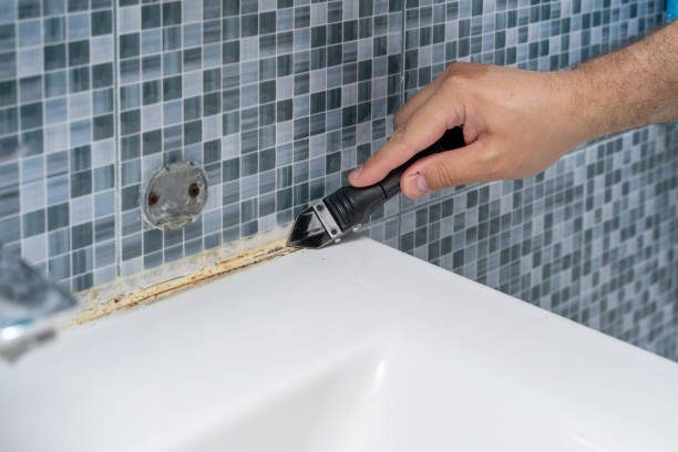 Best Residential Mold Removal  in Gurdon, AR