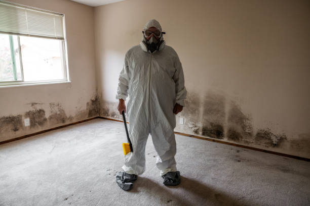 Mold Testing and Removal in Gurdon, AR